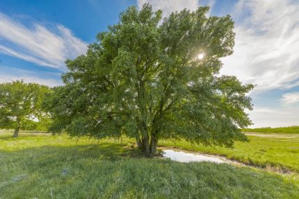 Recreational Property for sale in Coleman County, Texas