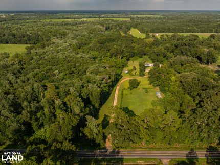 Timberland Property in Baldwin County, Alabama