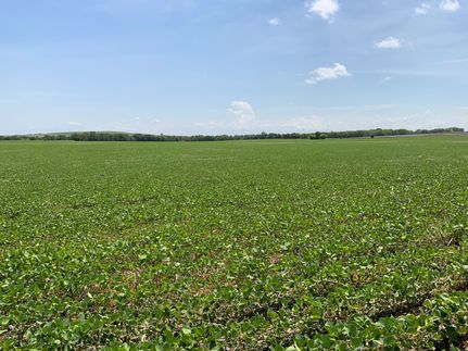 Farm and Ranch for sale in Knox County, Nebraska