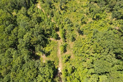 Undeveloped Land for sale in Dade County, Georgia
