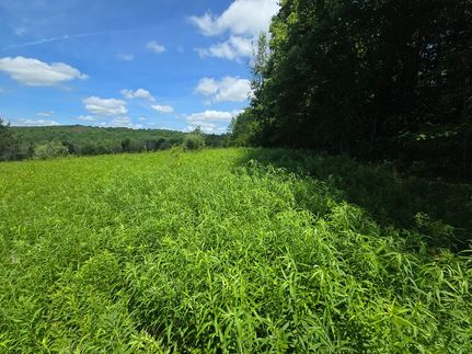 Land for sale in Broome County, New York