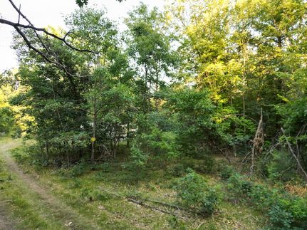 Recreational Property for sale in Ogemaw County, Michigan