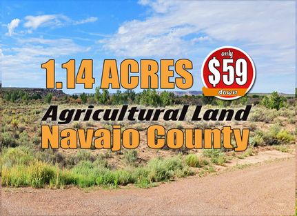 Timberland Property for sale in Navajo County, Arizona