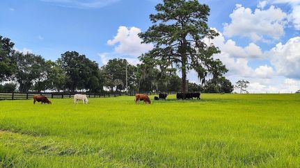 Farm and Ranch for sale in Citrus County, Florida