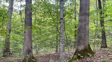 Farm and Ranch for sale in Athens County, Ohio