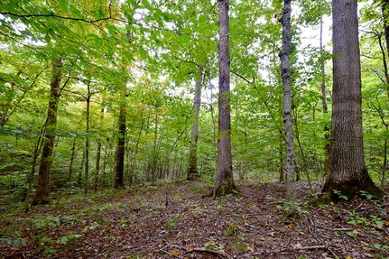 Land for sale in Athens County, Ohio