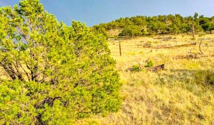 Farm and Ranch for sale in Fremont County, Colorado