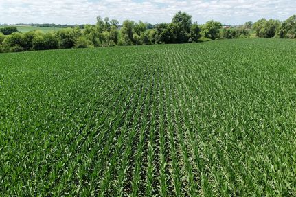 Farm and Ranch for sale in Turner County, South Dakota