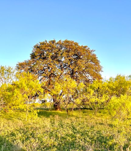 Farm and Ranch for sale in Mills County, Texas