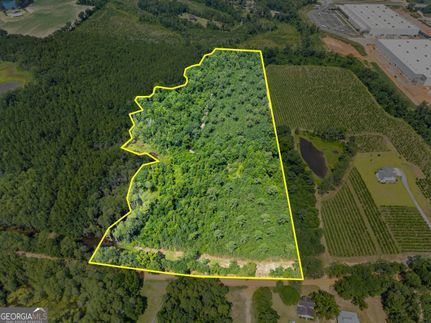 Undeveloped Land for sale in Bulloch County, Georgia