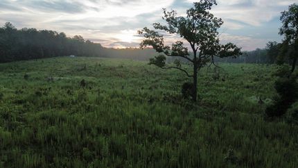 Land for sale in Fairfield County, South Carolina
