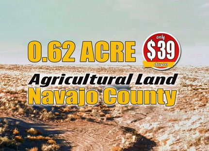 Farm and Ranch for sale in Navajo County, Arizona