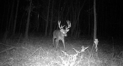 Recreational Property for sale in Crawford County, Illinois