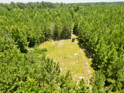 Land for sale in Conecuh County, Alabama
