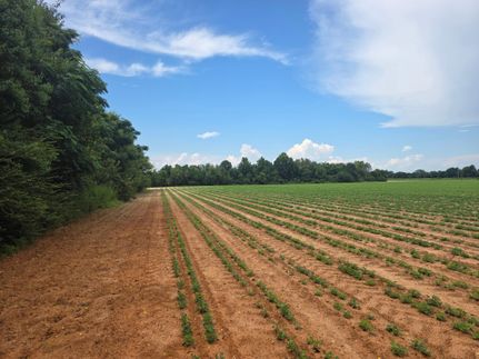 Farm and Ranch for sale in Jackson County, Florida