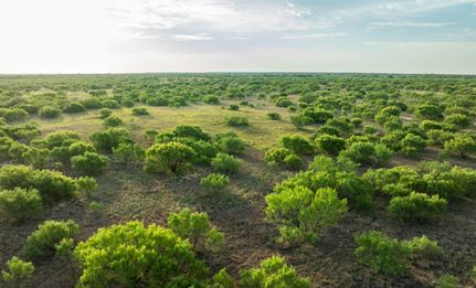 Recreational Property for sale in Cottle County, Texas