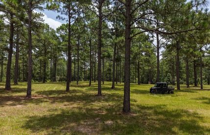 Timberland Property for sale in Tyler County, Texas