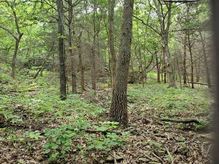 Commercial Property for sale in Chautauqua County, Kansas