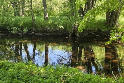 Recreational Property for sale in Lincoln County, Wisconsin