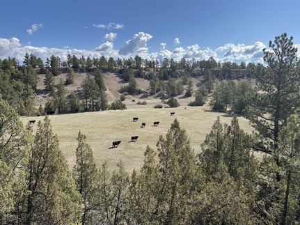 Farm and Ranch for sale in Custer County, South Dakota