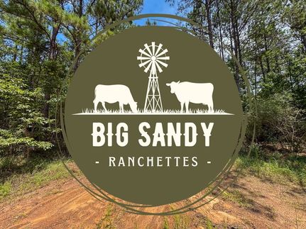 Land for sale in Polk County, Texas