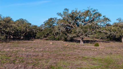 Farm and Ranch for sale in Colorado County, Texas