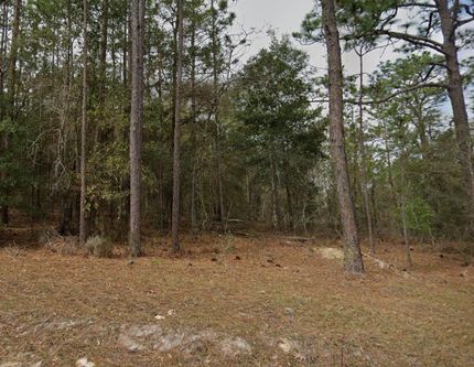 Farm and Ranch for sale in Putnam County, Florida