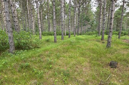 Hunting Property for sale in Adams County, Wisconsin