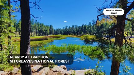 Farm and Ranch for sale in Navajo County, Arizona