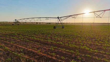 Farm and Ranch for sale in Gaines County, Texas