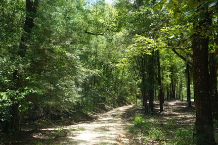 Farm and Ranch for sale in Covington County, Alabama