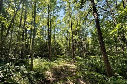 Timberland Property for sale in Washburn County, Wisconsin