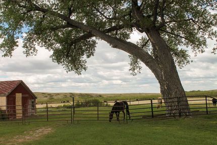 Farm and Ranch for sale in Laramie County, Wyoming