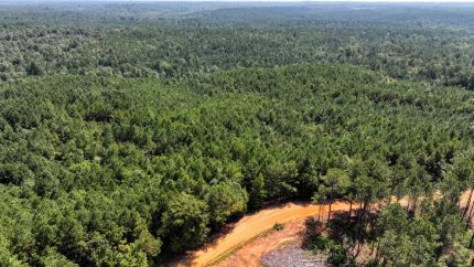 Farm and Ranch for sale in Itawamba County, Mississippi