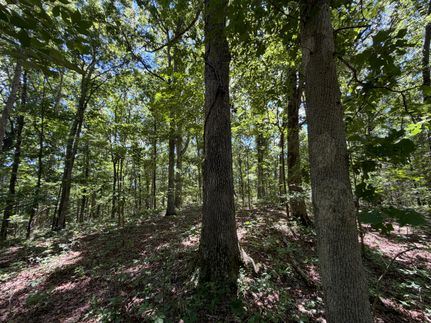 Land for sale in Gallatin County, Illinois