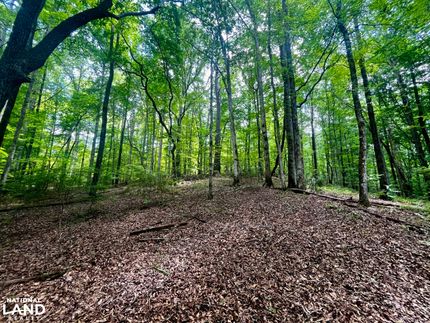 Land for sale in Coosa County, Alabama