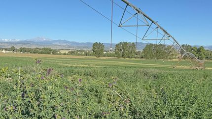 Land for sale in Larimer County, Colorado