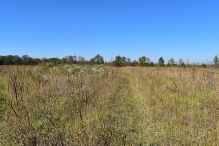 Land for sale in Bowie County, Texas