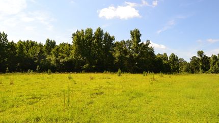 Land for sale in Emanuel County, Georgia