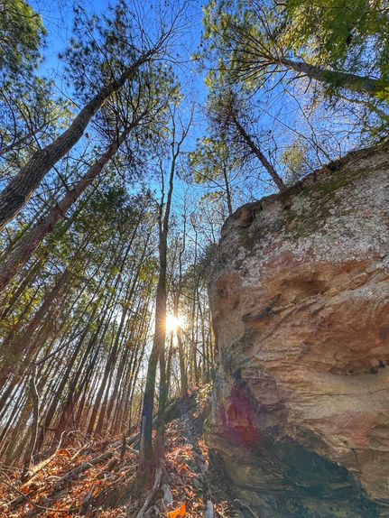 Farm and Ranch for sale in Marion County, Alabama