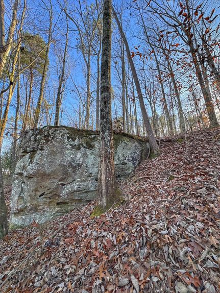 Farm and Ranch for sale in Marion County, Alabama