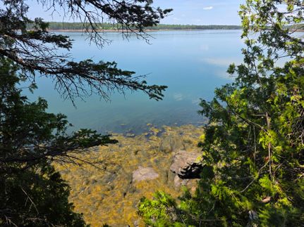 Farm and Ranch for sale in Washington County, Maine
