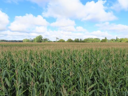 Land for sale in Marshall County, Minnesota