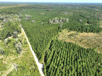Land for sale in Camden County, Georgia