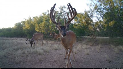 Recreational Property for sale in Uvalde County, Texas