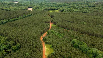 Timberland Property for sale in McNairy County, Tennessee