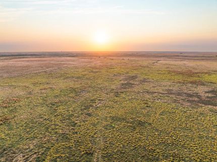 Farm and Ranch for sale in Texas County, Oklahoma