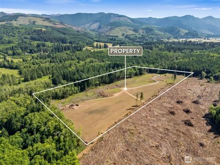 Undeveloped Land for sale in Lewis County, Washington