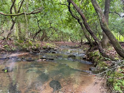 Undeveloped Land for sale in Elmore County, Alabama