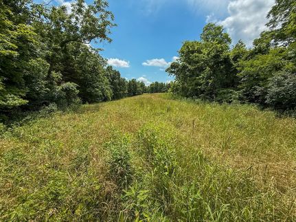 Land for sale in Nicholas County, Kentucky